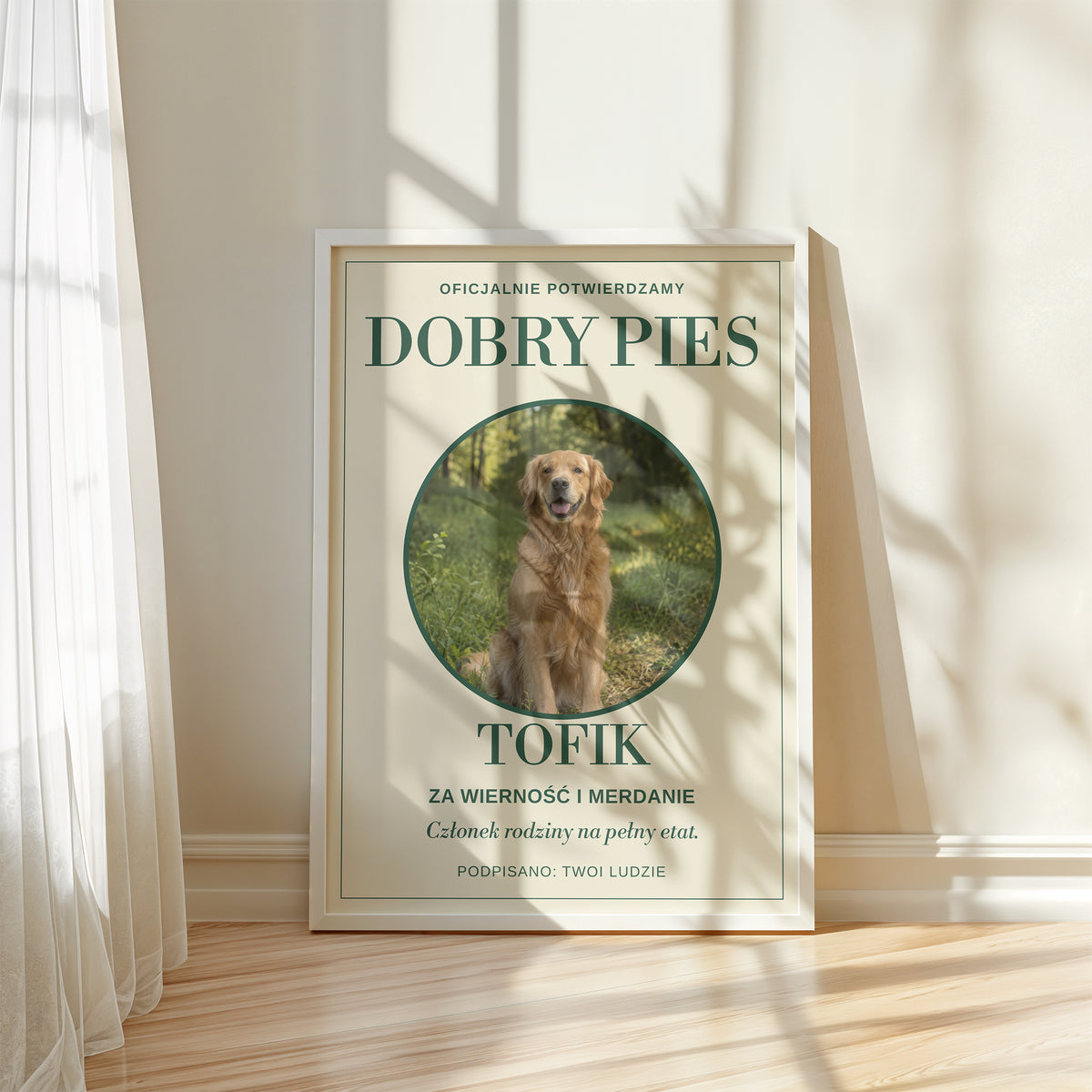 Personalizowany plakat DOBRY PIES w białej ramce przy oknie, z własnym zdjęciem i tekstem | C-PL-PET-7-2130-NF