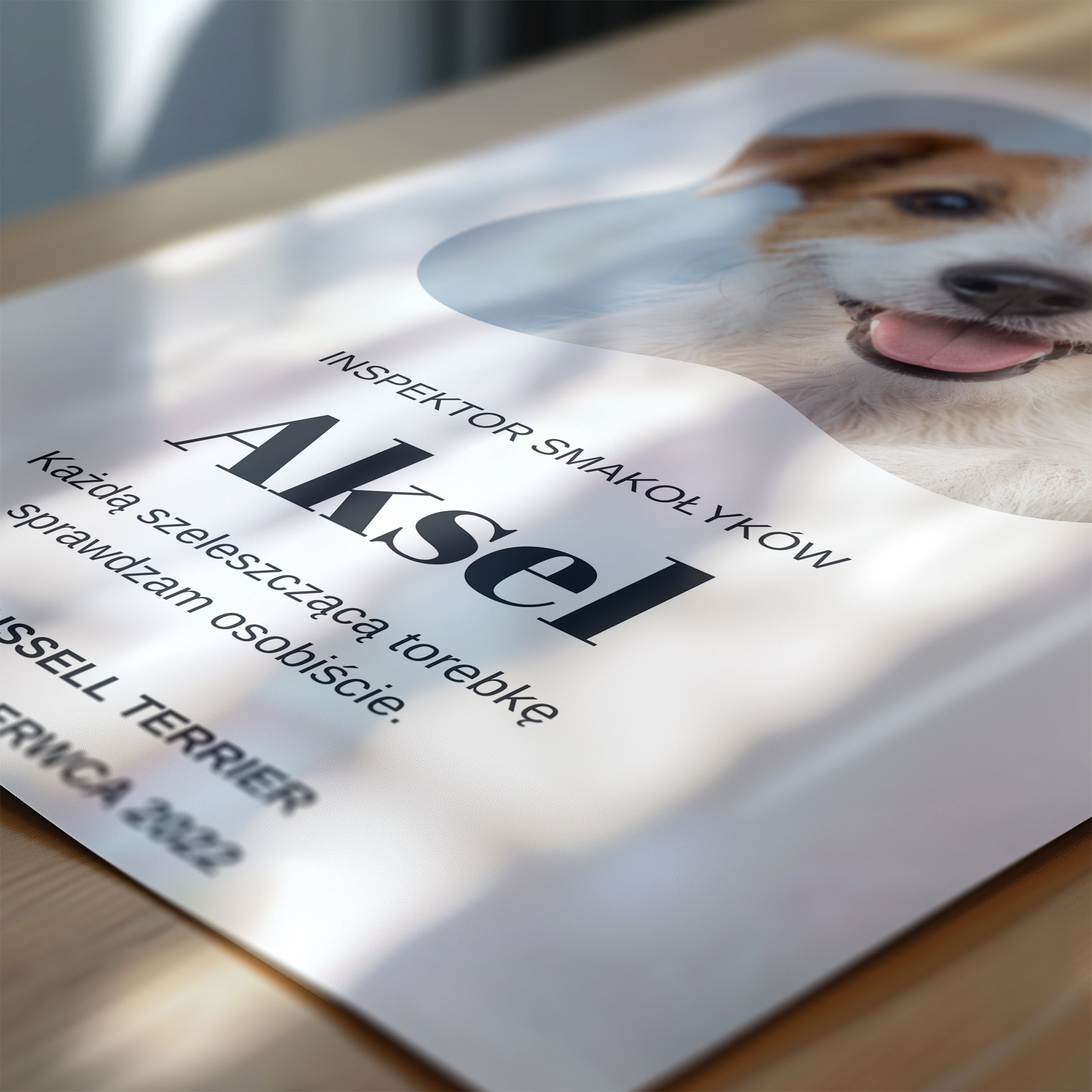 Personalizowany plakat Inspektor Smakołyków w zbliżeniu pokazującym nadruk i typografię, z własnym zdjęciem i tekstem | C-PL-PET-4-2130-NF