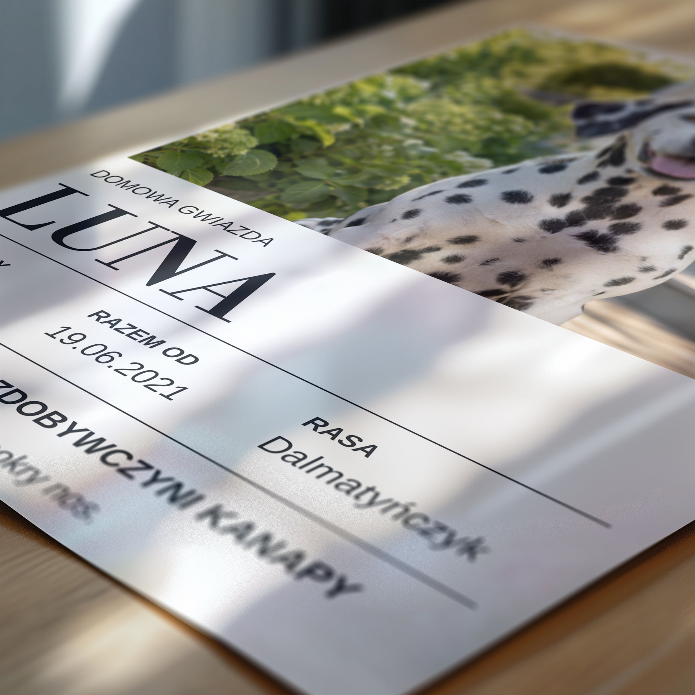 Personalizowany plakat Najlepszy Kumpel w zbliżeniu pokazującym nadruk i typografię, z własnym zdjęciem i tekstem | C-PL-PET-3-2130-NF