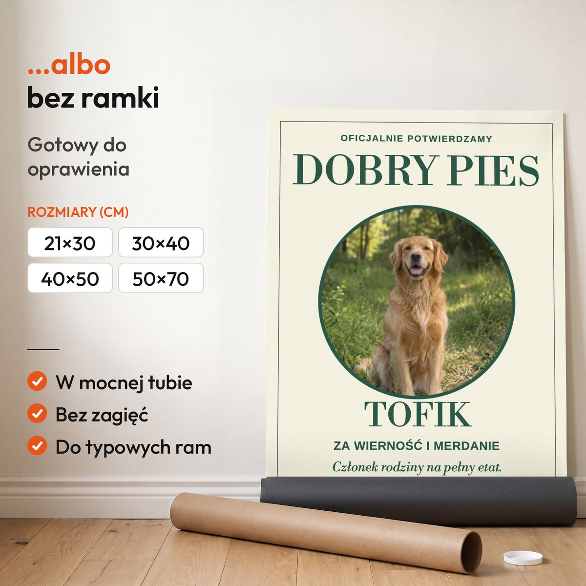 Dobry Pies — plakat bez ramki, gotowy do oprawienia: rozwinięty z rolki, obok tuba do wysyłki. C-PL-PET-7-2130-NF