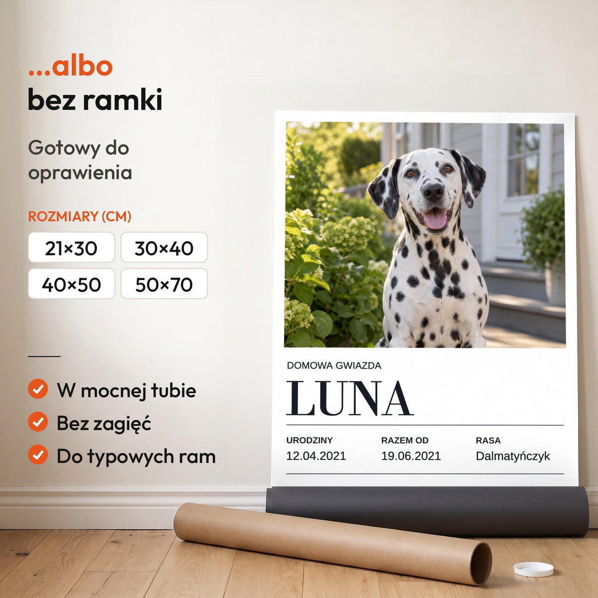 Najlepszy Kumpel — plakat bez ramki, gotowy do oprawienia: rozwinięty z rolki, obok tuba do wysyłki. C-PL-PET-3-2130-NF